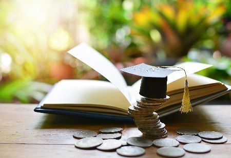 Bridge Foundation Merit Scholarship 2026 With Career Support